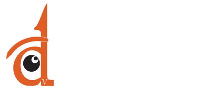 dizviz logo